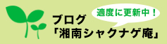 ブログ「湘南シャクナゲ庵」